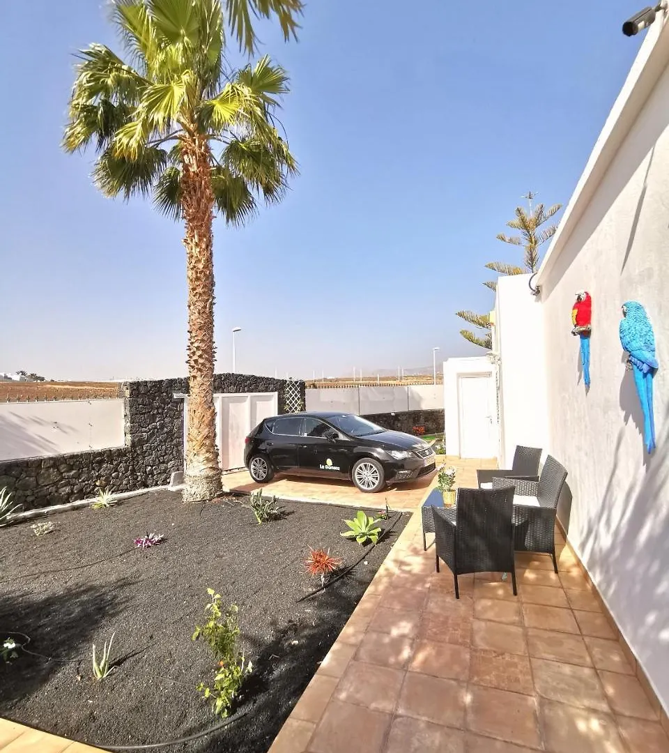 Villa Oliveira By Buenavilla Puerto del Carmen   Puerto del Carmen (Lanzarote)